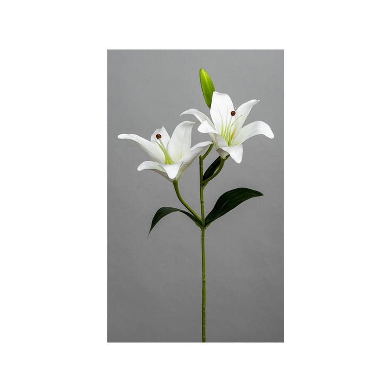 Lilium blanco doble